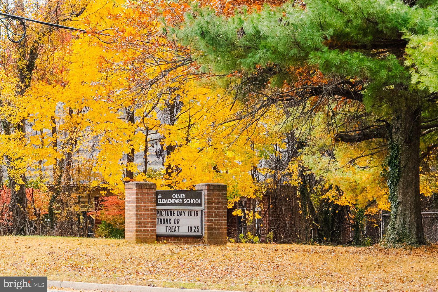 3800 CHERRY VALLEY DRIVE