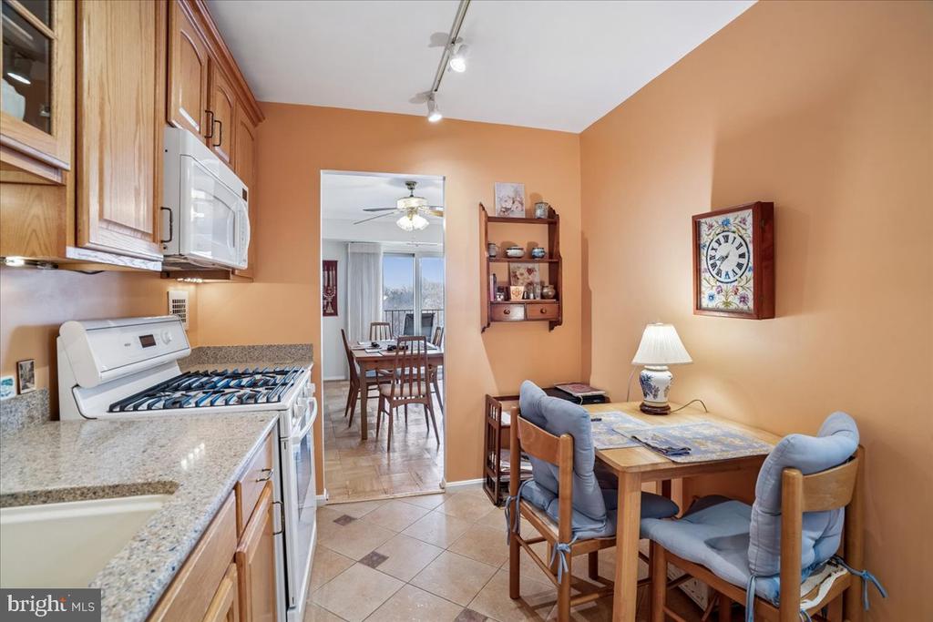 9039 SLIGO CREEK PARKWAY 1409