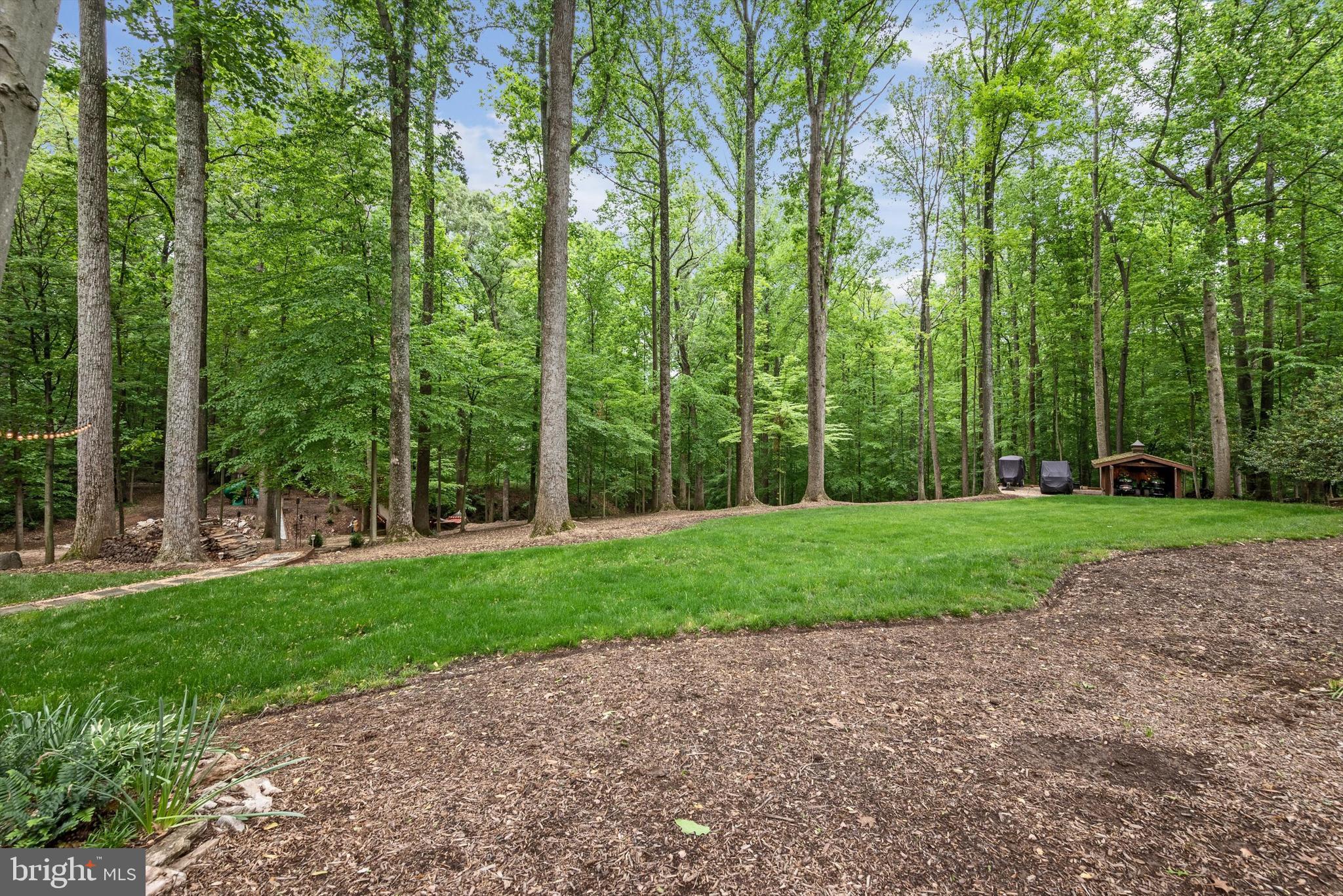 11541 Clara Barton Dr