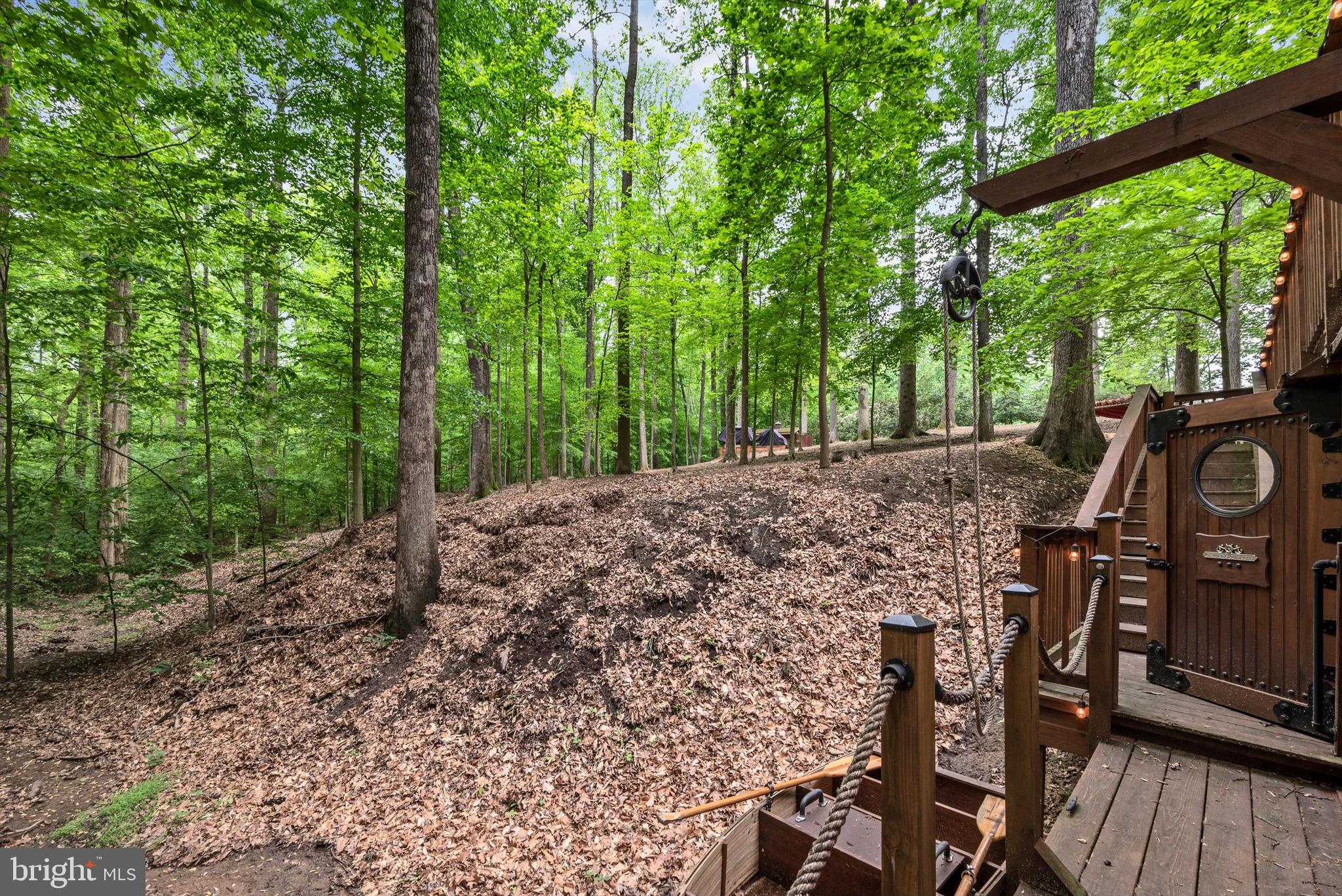 11541 Clara Barton Dr