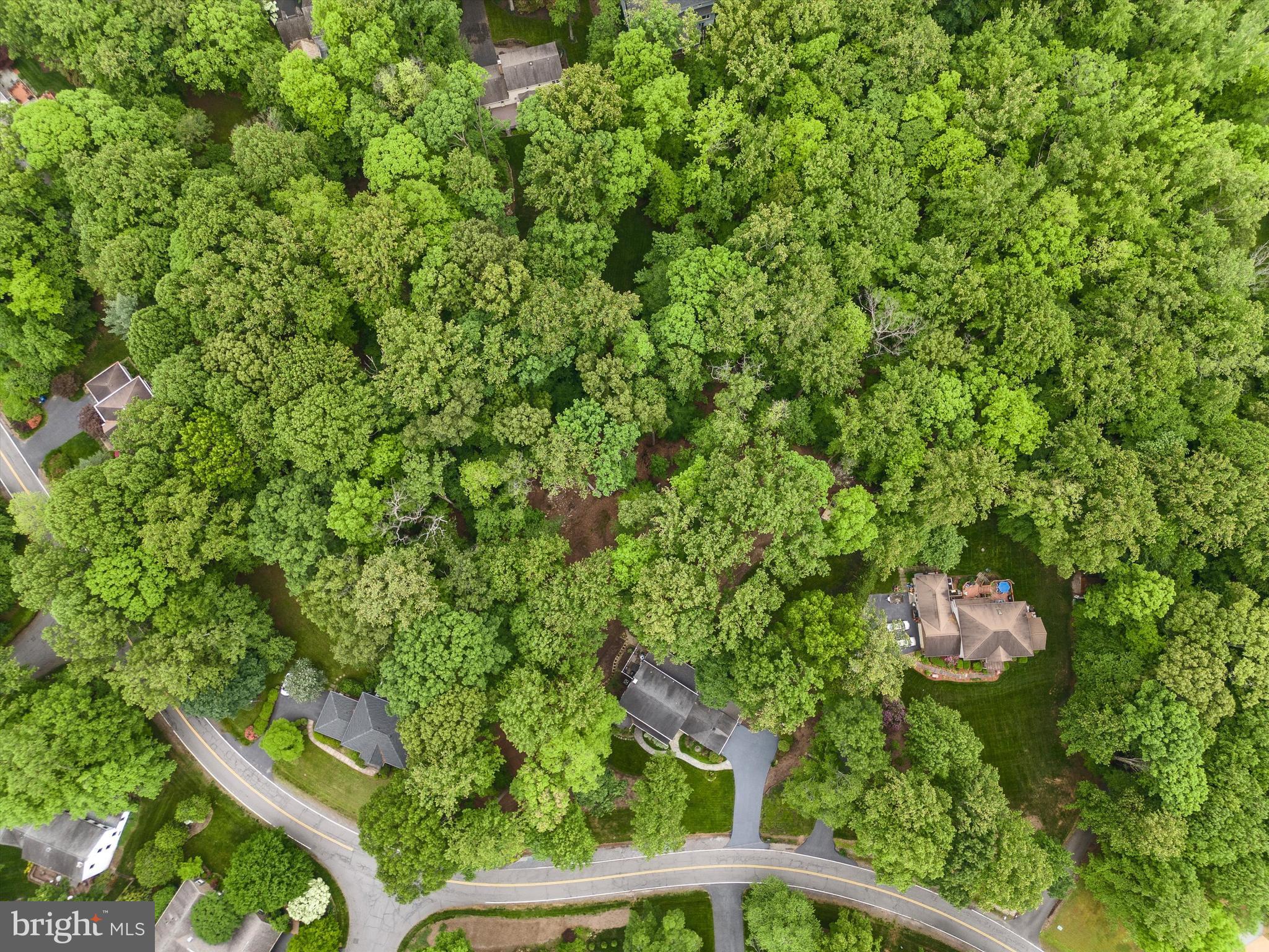 11541 Clara Barton Dr