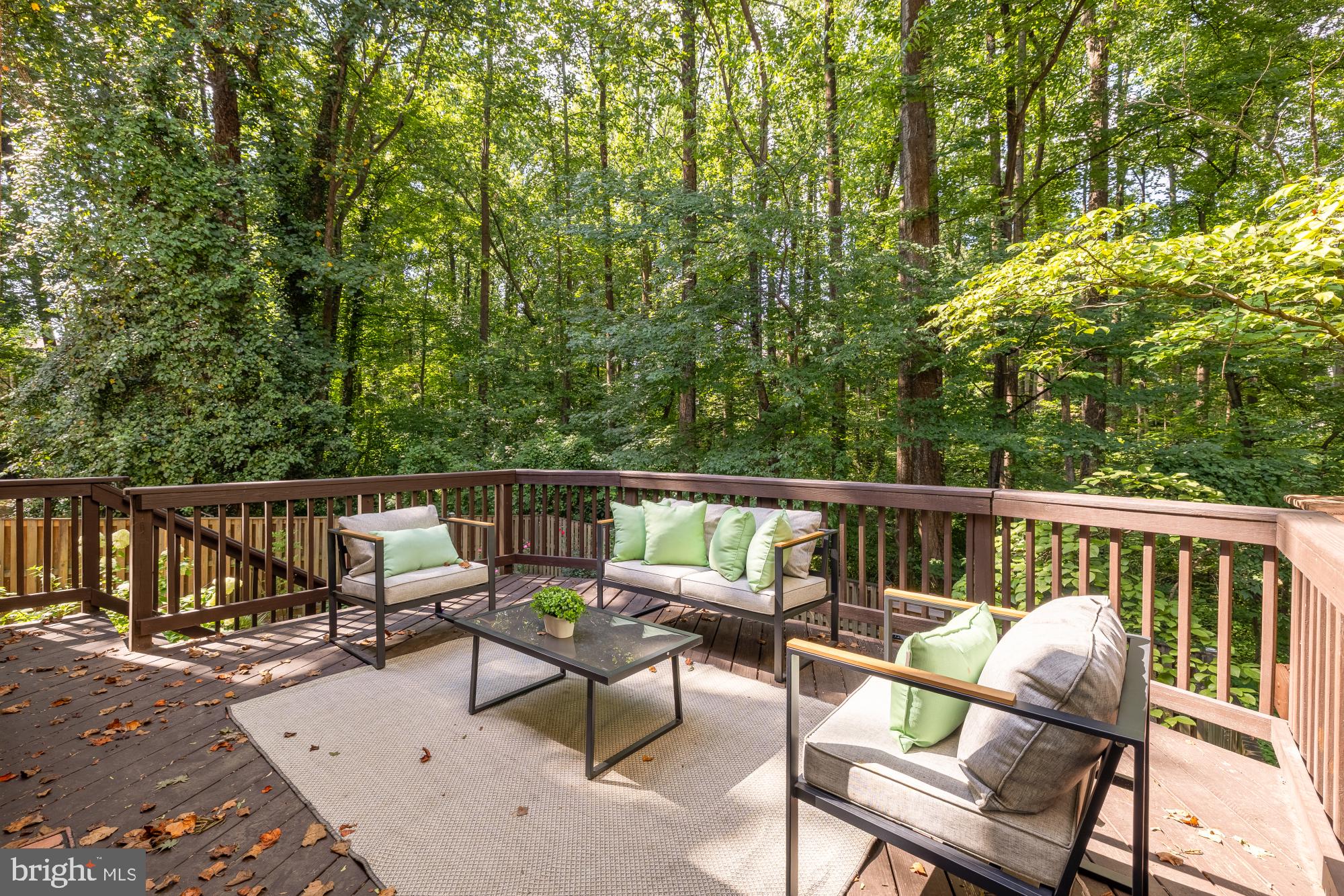 9956 Hemlock Woods Ln