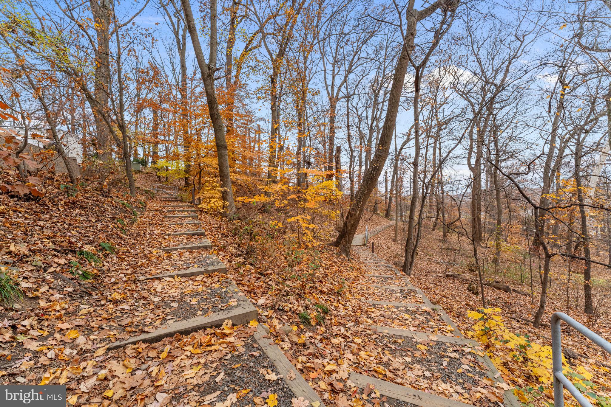 5901 MOUNT EAGLE DRIVE 1116