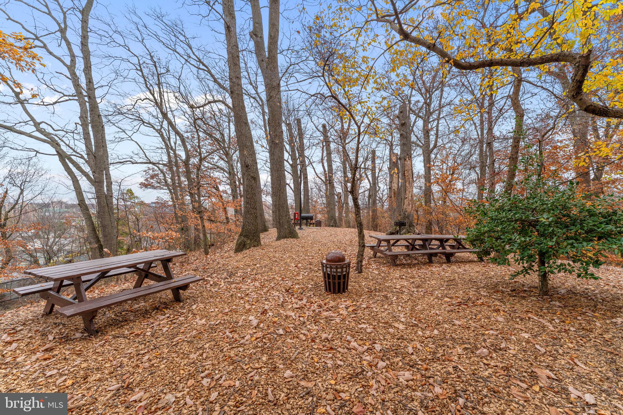 5901 MOUNT EAGLE DRIVE 1116