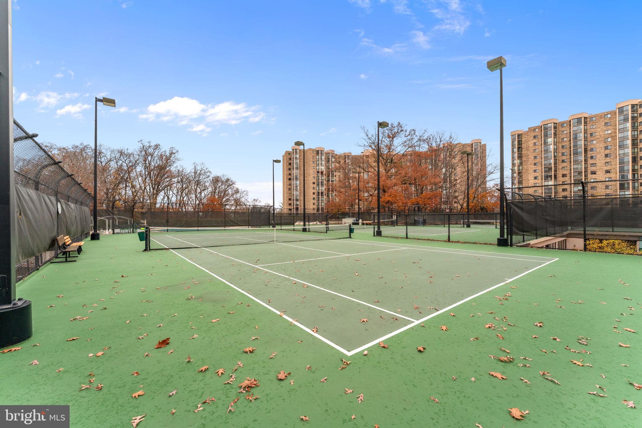 5901 MOUNT EAGLE DRIVE 1116