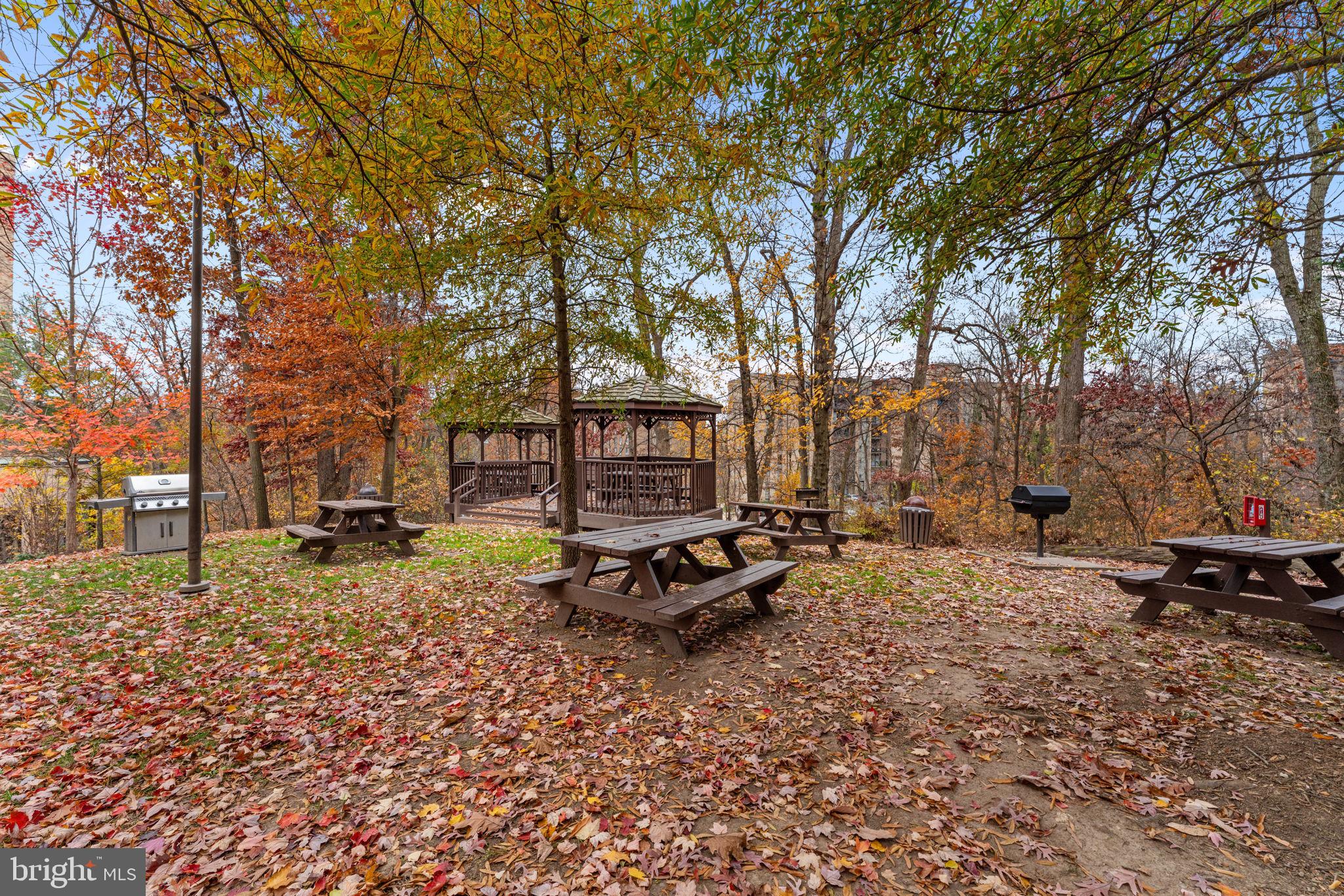 5901 MOUNT EAGLE DRIVE 1116