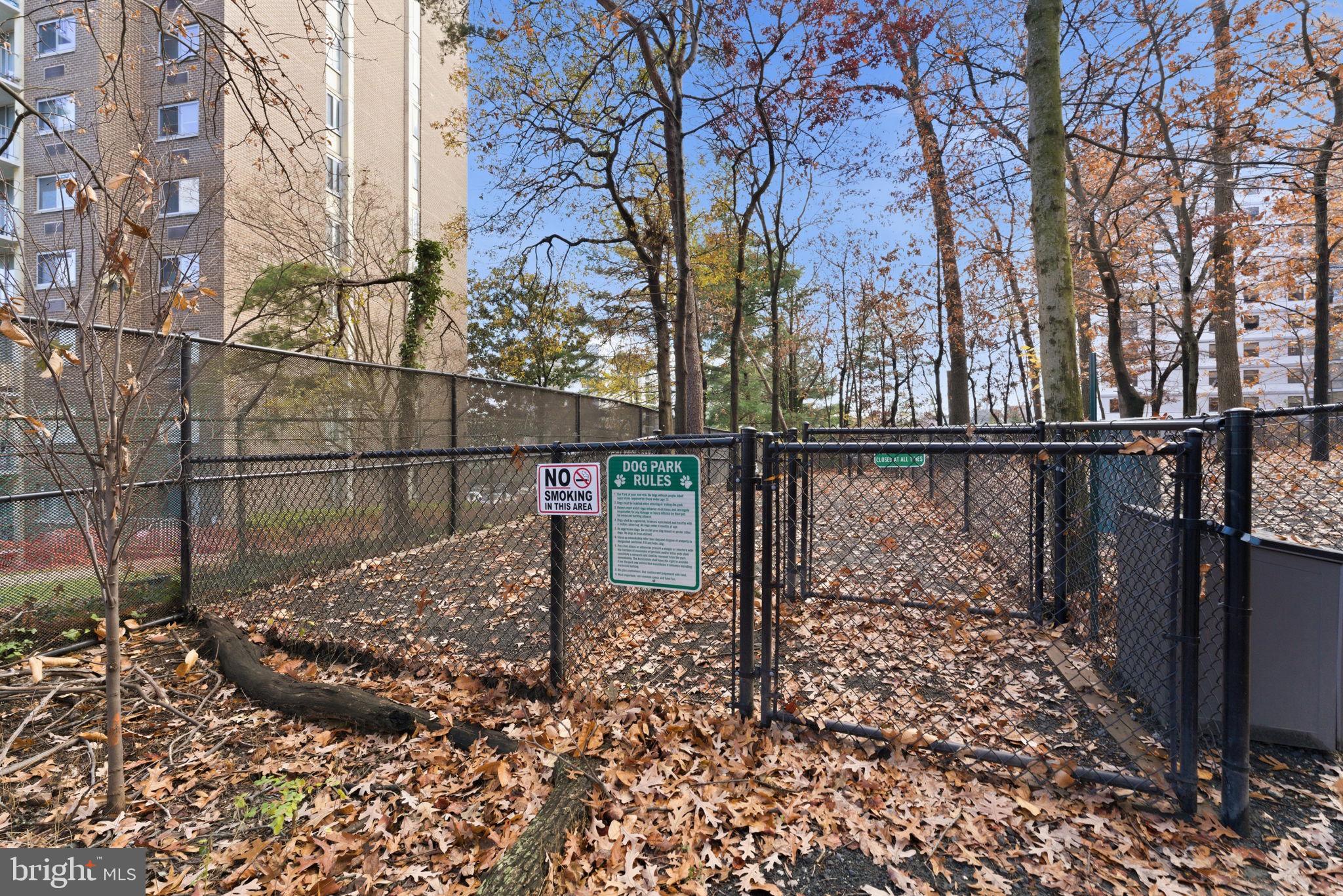 5901 MOUNT EAGLE DRIVE 1116