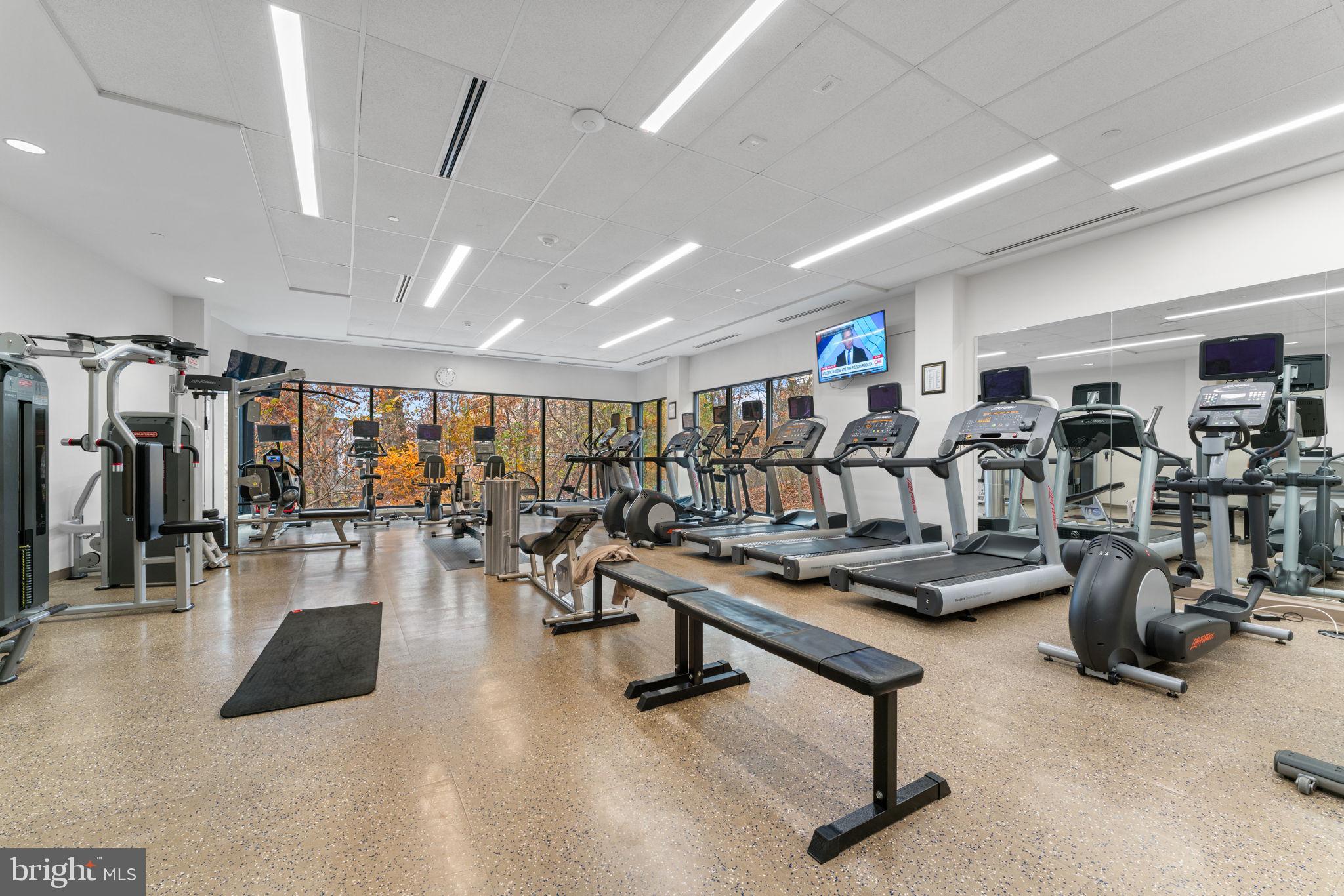 5901 MOUNT EAGLE DRIVE 1116