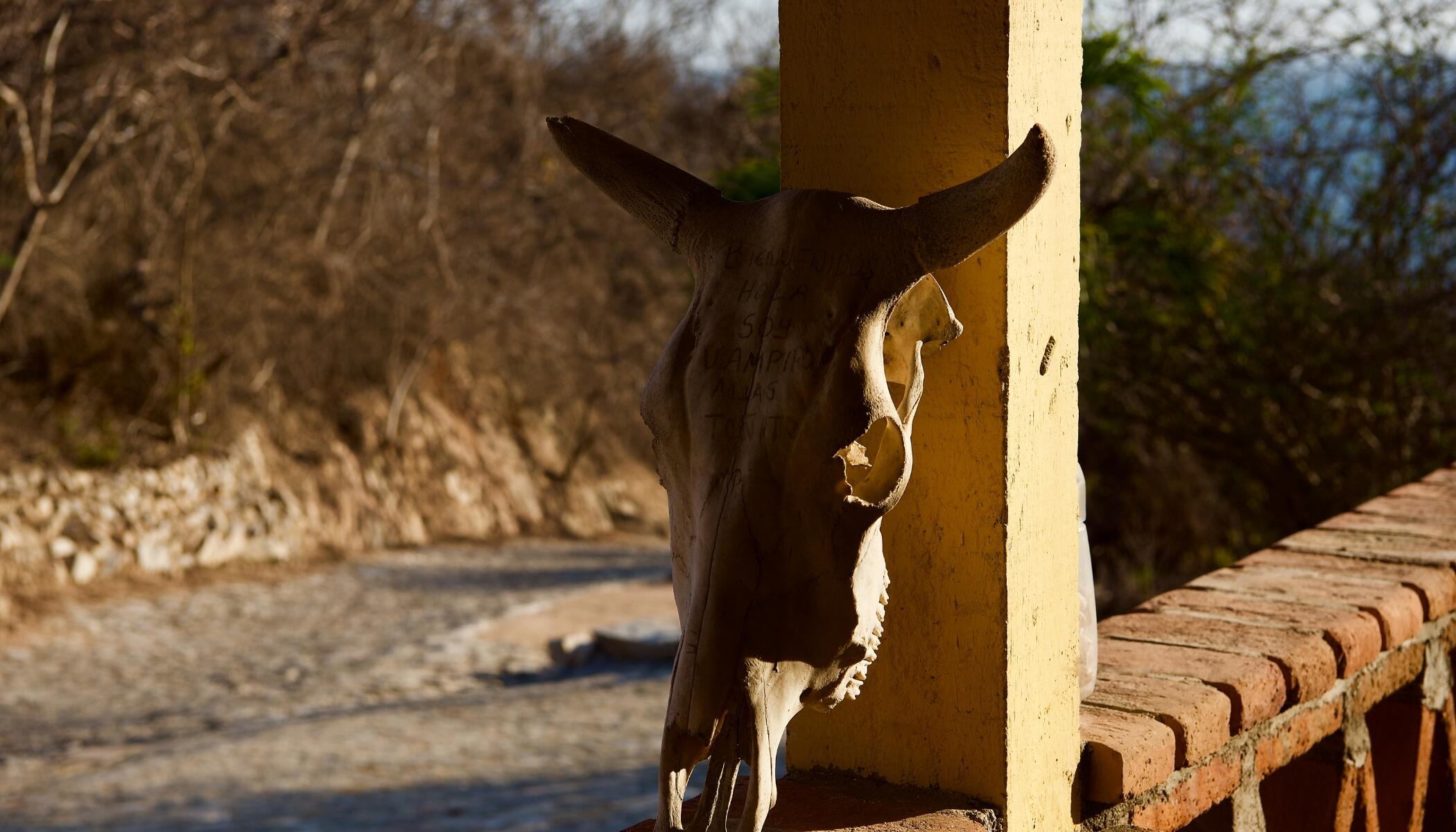 Km 1 Villa Del Mar Road