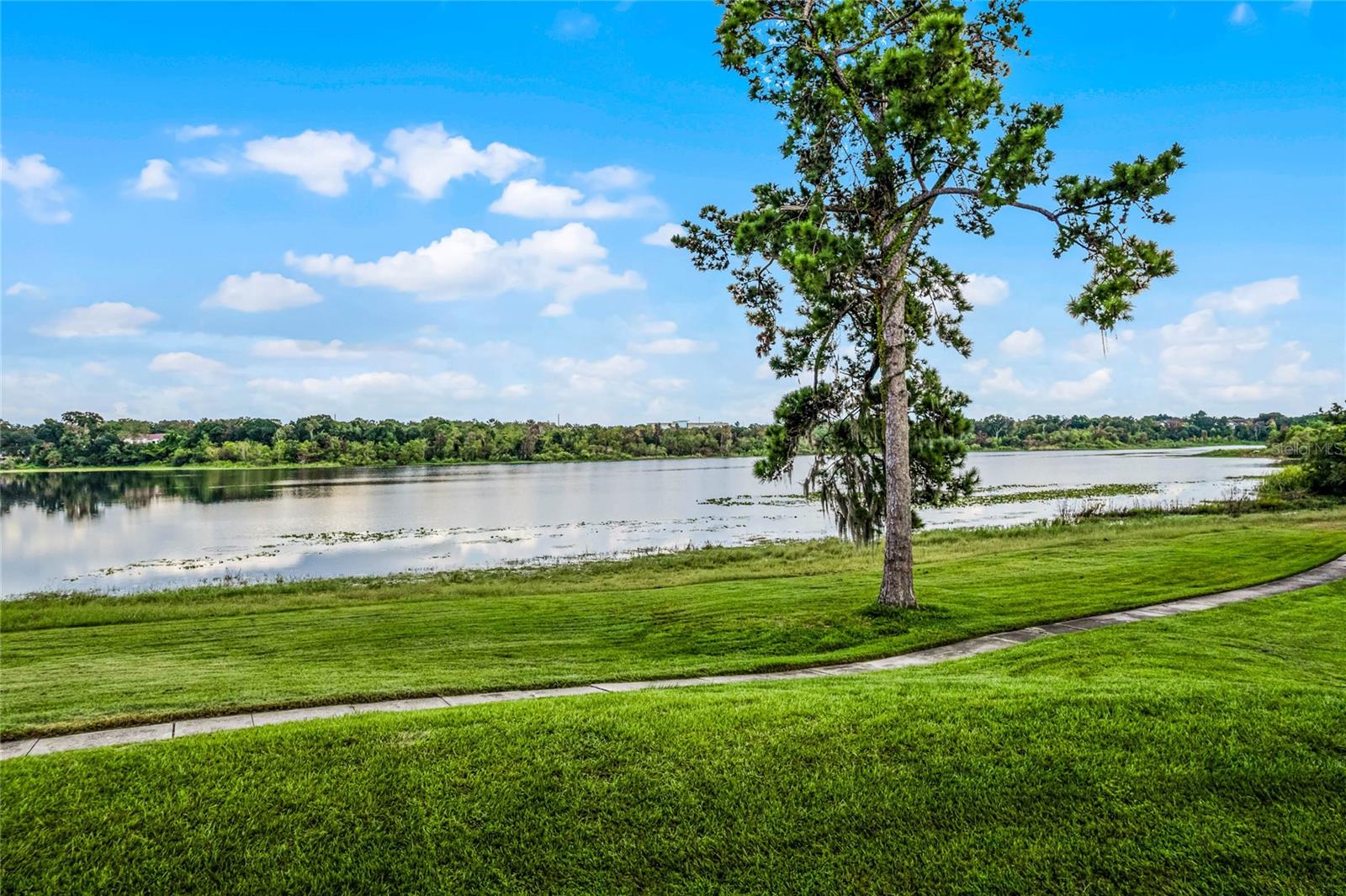 1052 LOTUS COVE CT #743