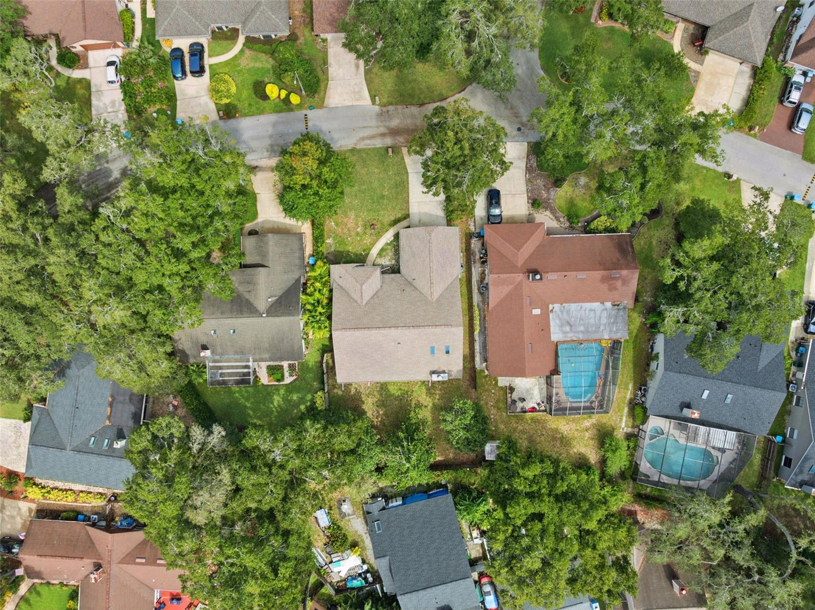 169 CITRUS TREE LN