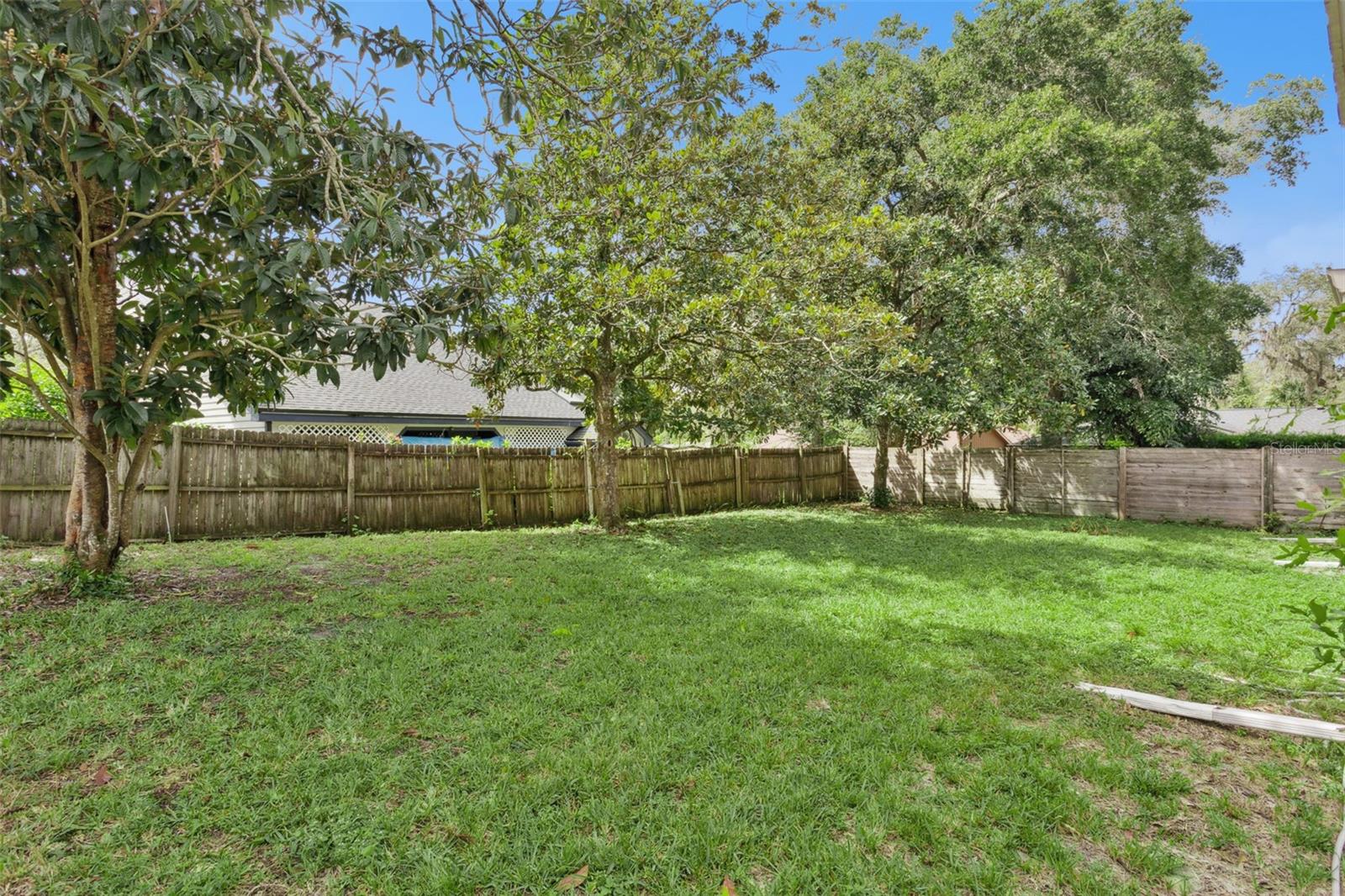 169 CITRUS TREE LN