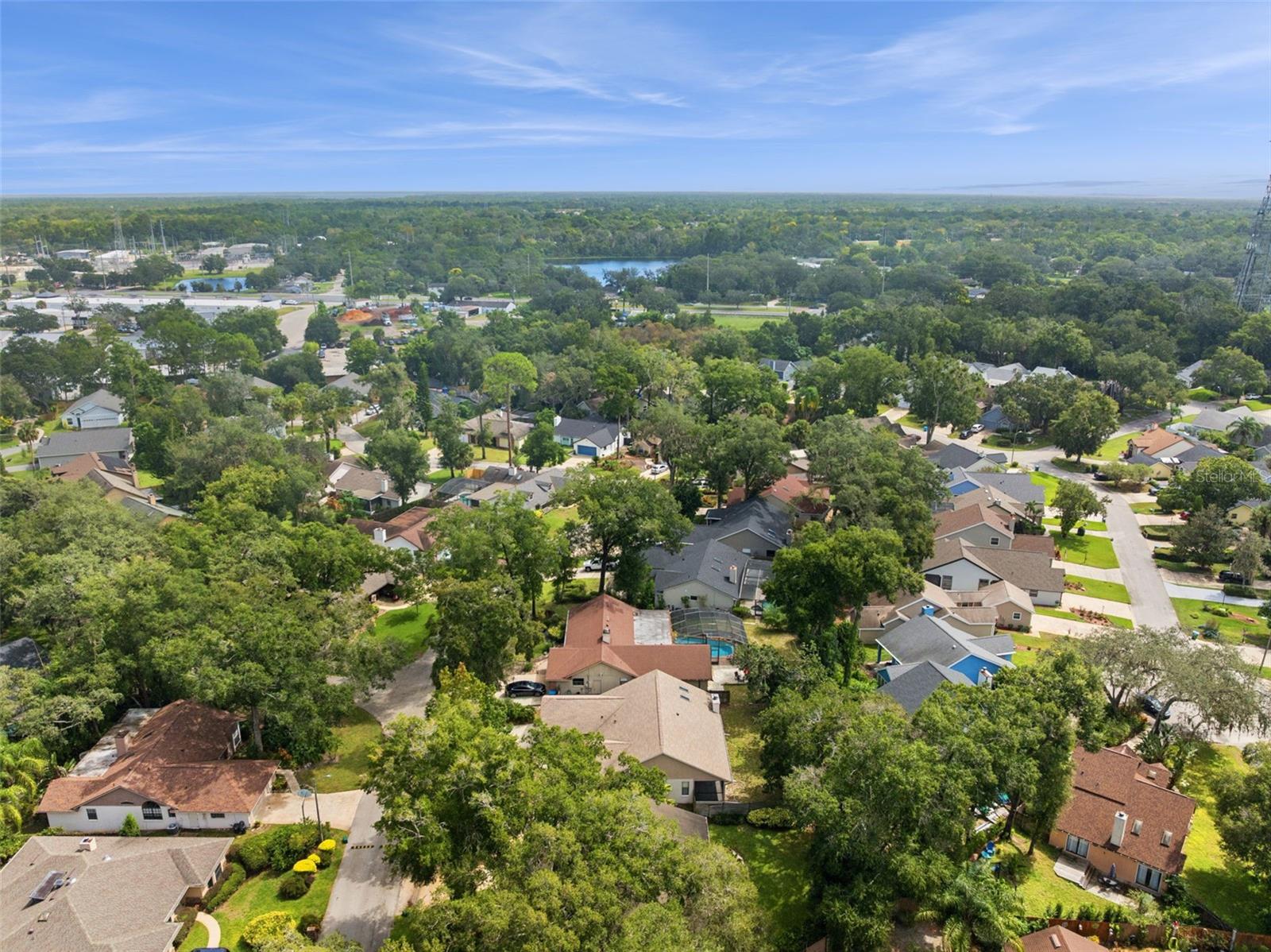169 CITRUS TREE LN