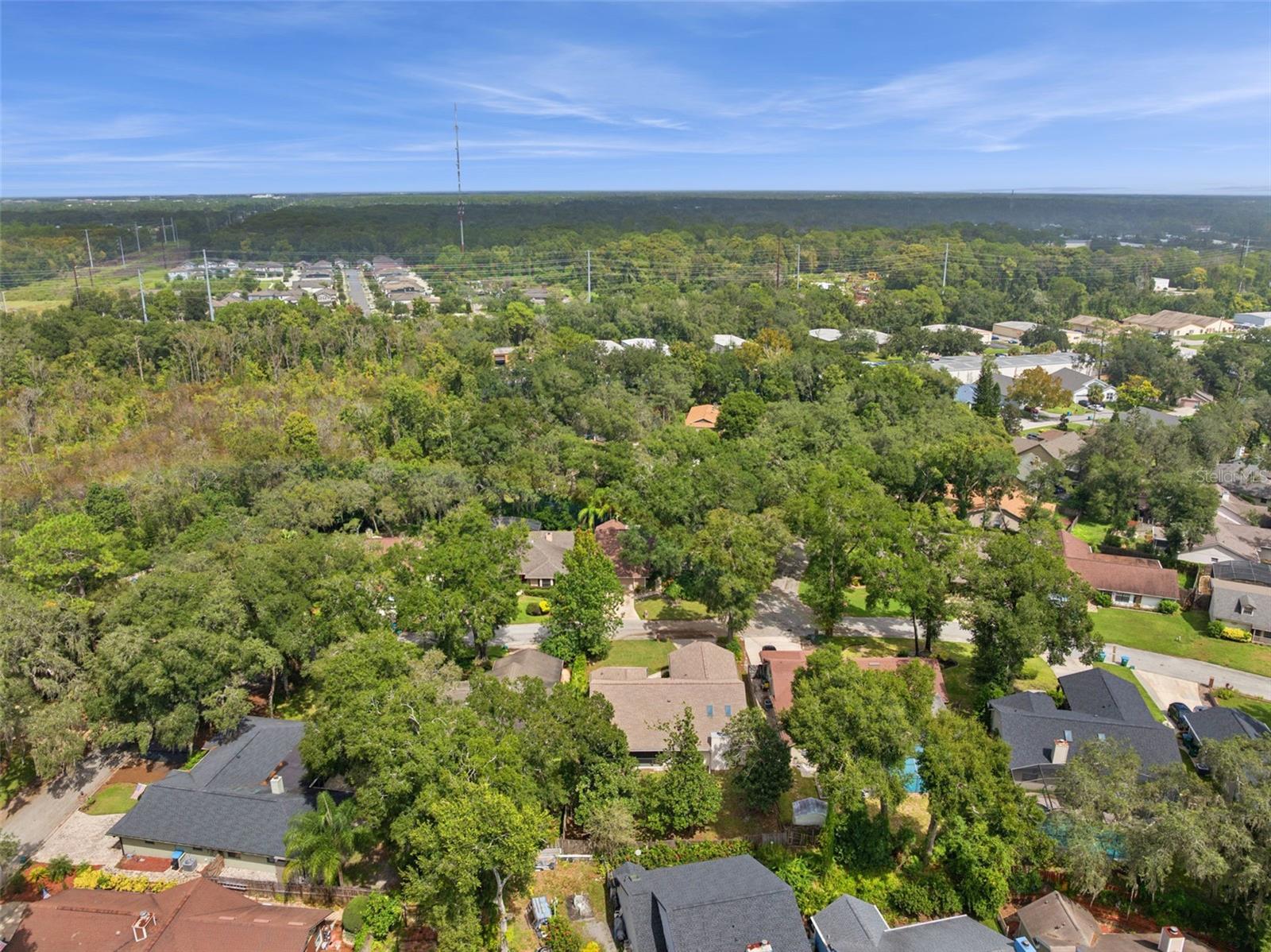 169 CITRUS TREE LN