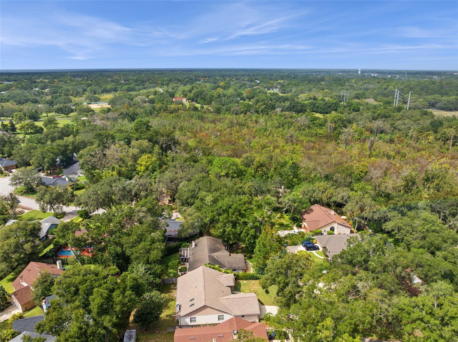 169 CITRUS TREE LN