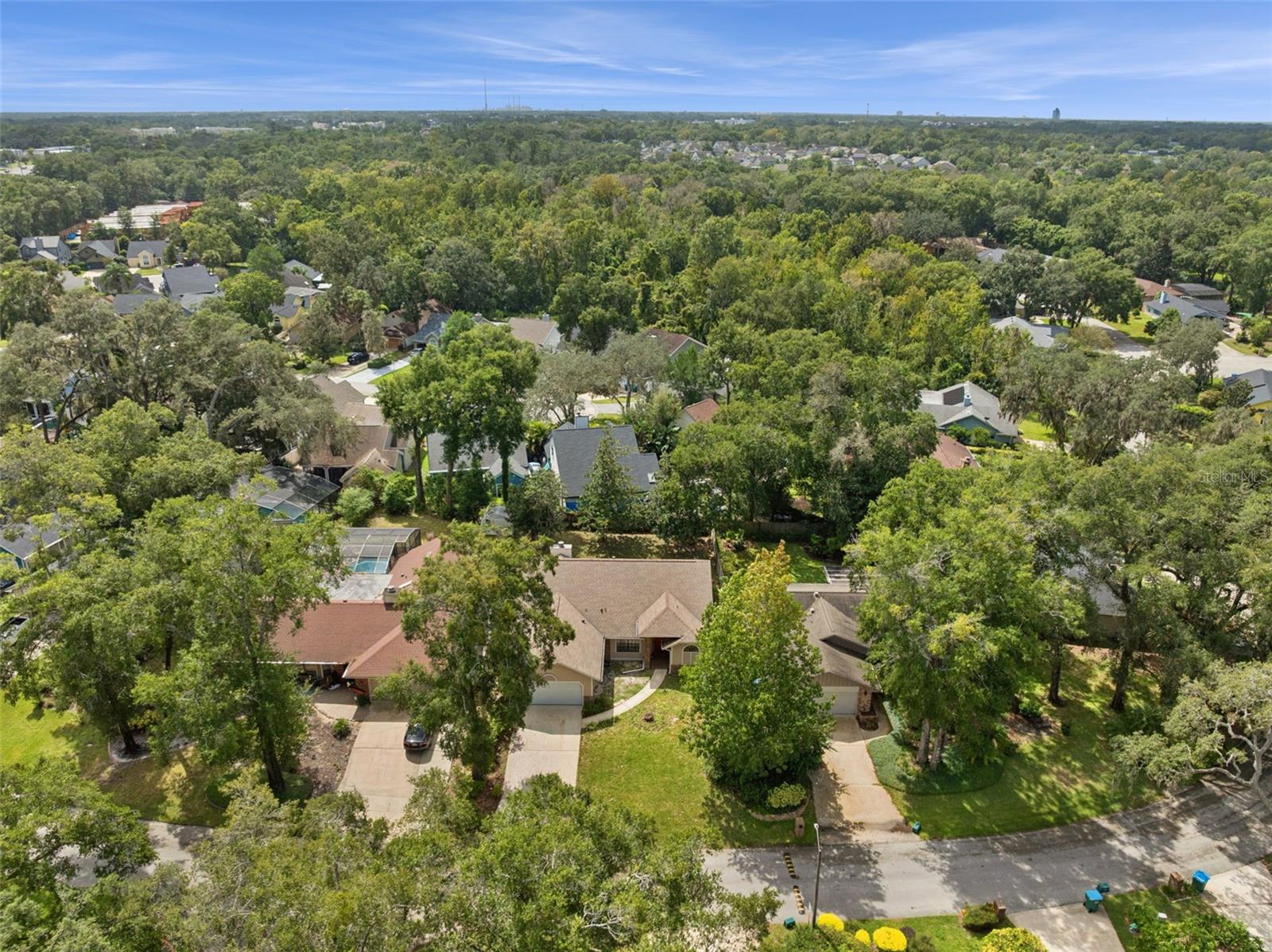 169 CITRUS TREE LN