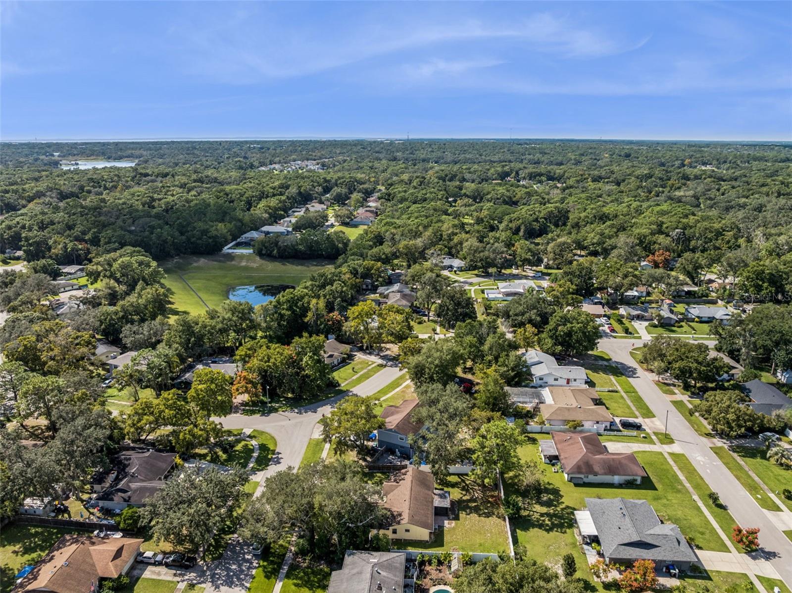 1513 LEOPARD CT
