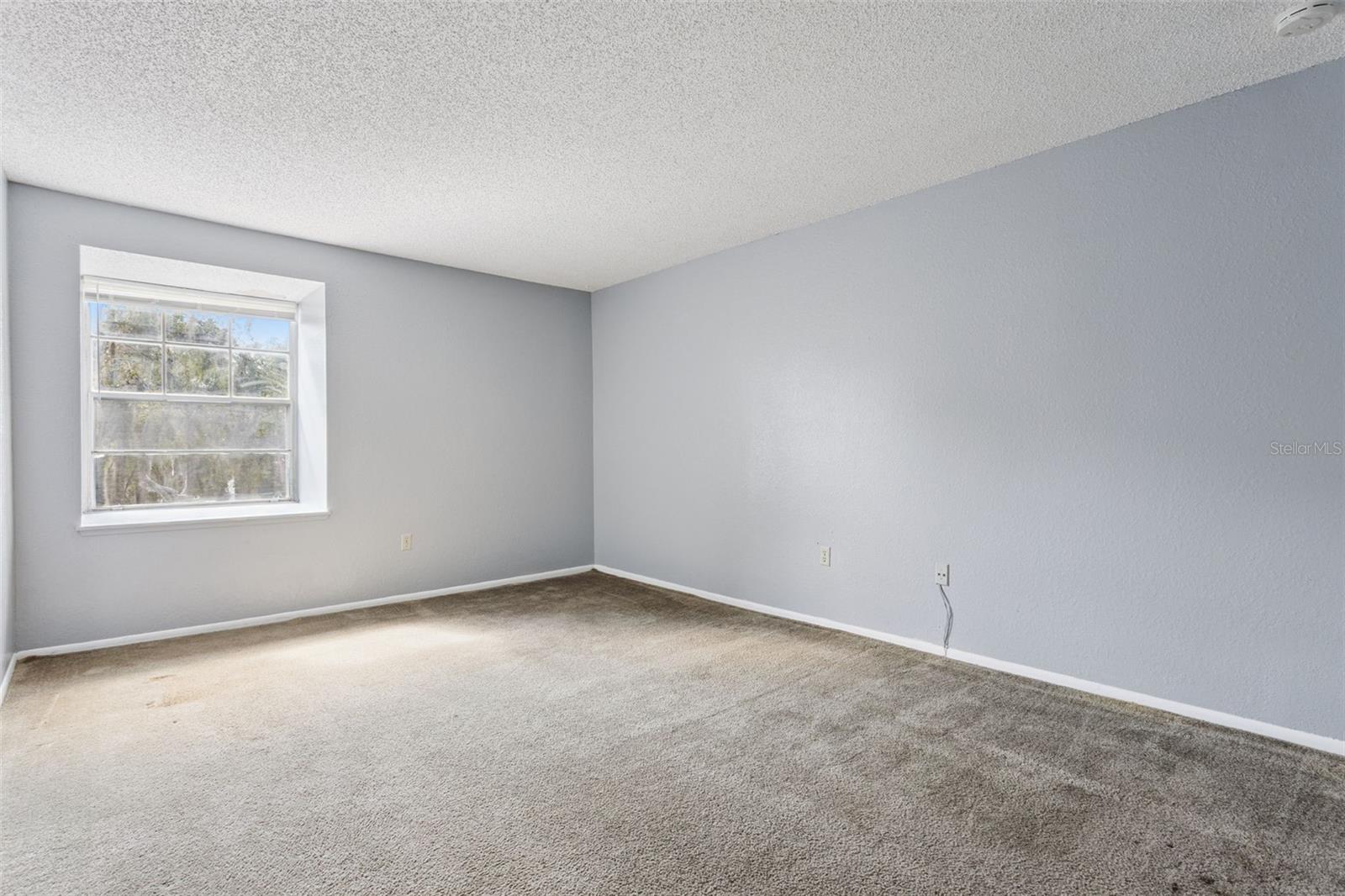 3981 VERSAILLES DR #3981F