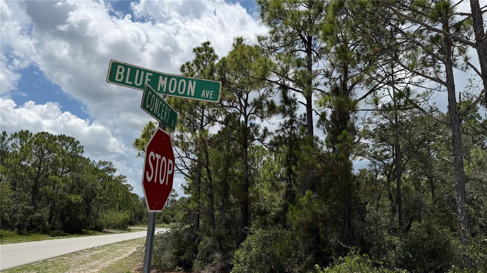 346 BLUE MOON AVE