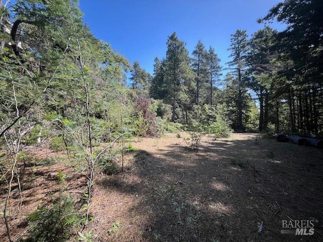 46109 Fish Rock Road