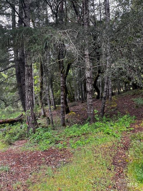 24403 Cypress Drive