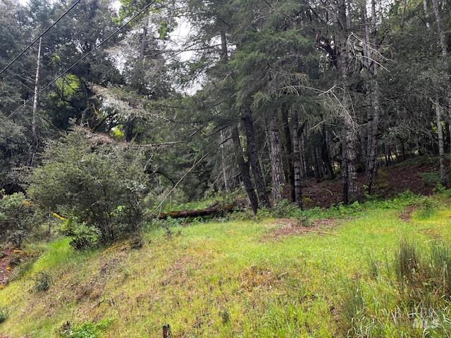 24403 Cypress Drive