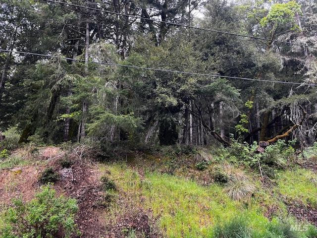 24403 Cypress Drive
