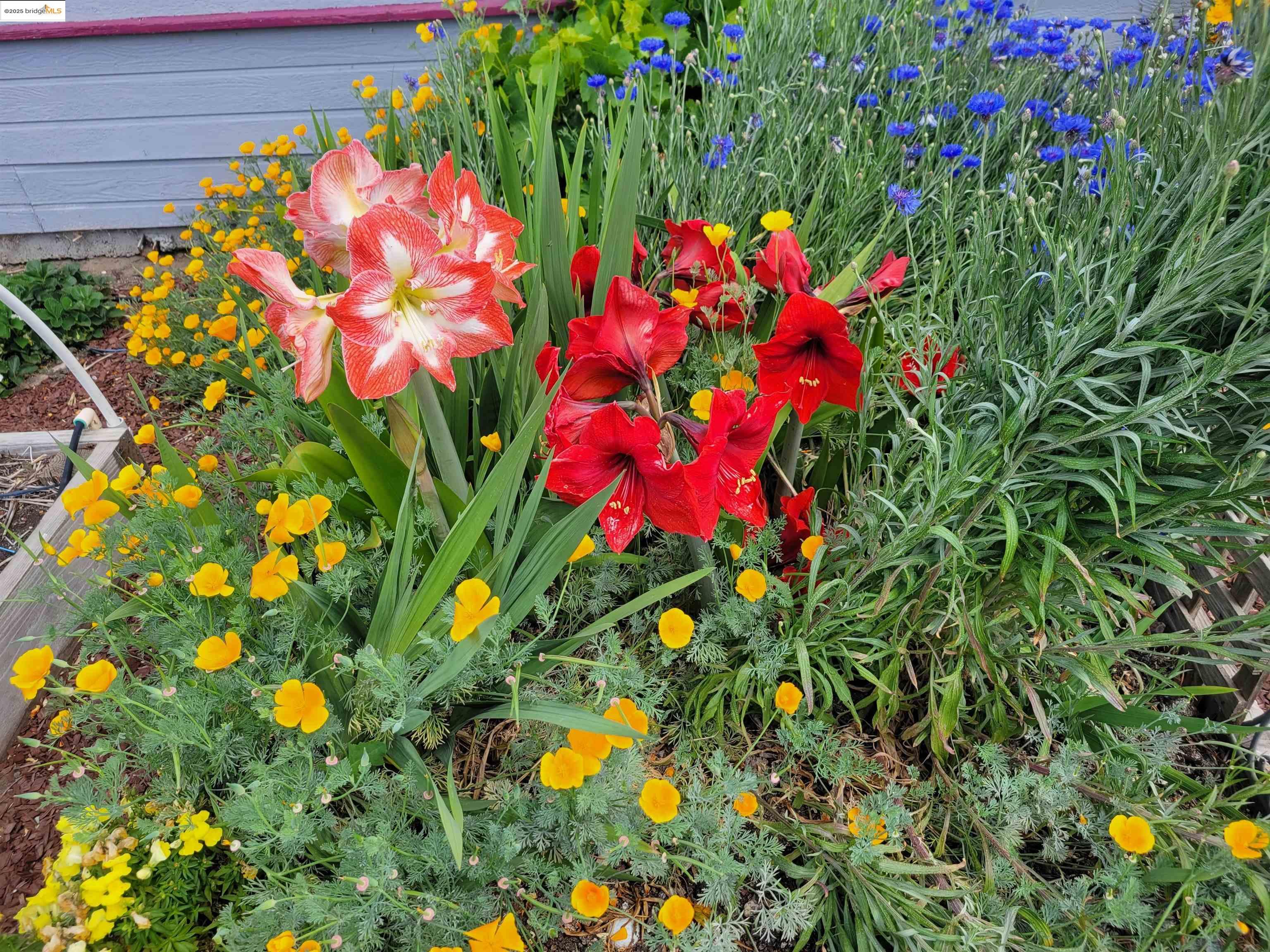 3505 Gateway Rd # 25E