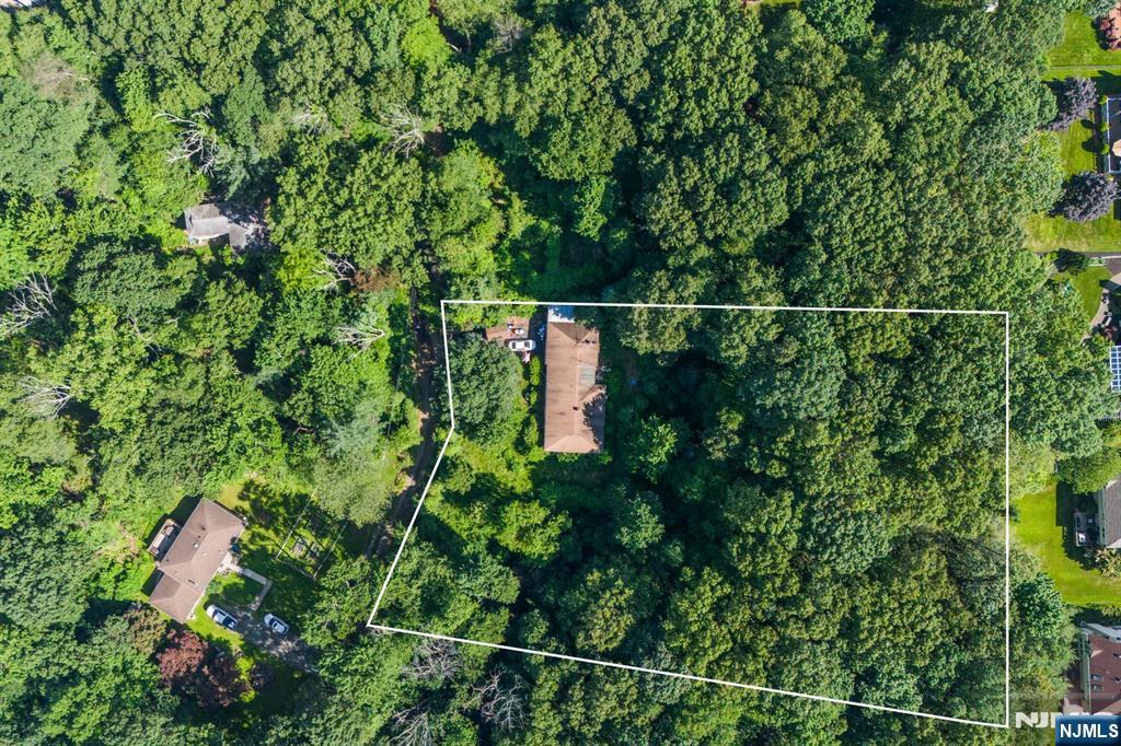 155 Mount Pleasant Avenue