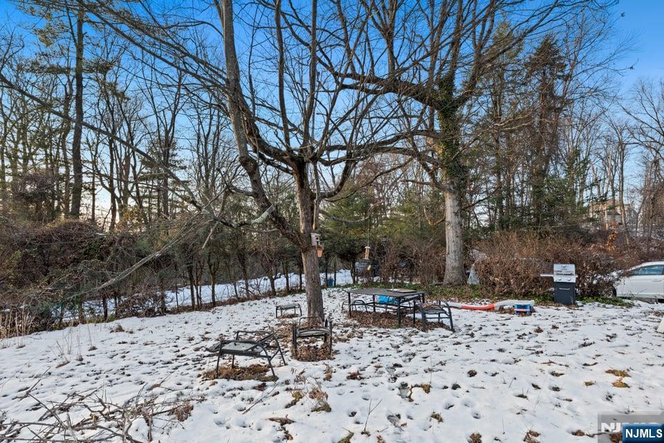 155 Mount Pleasant Avenue