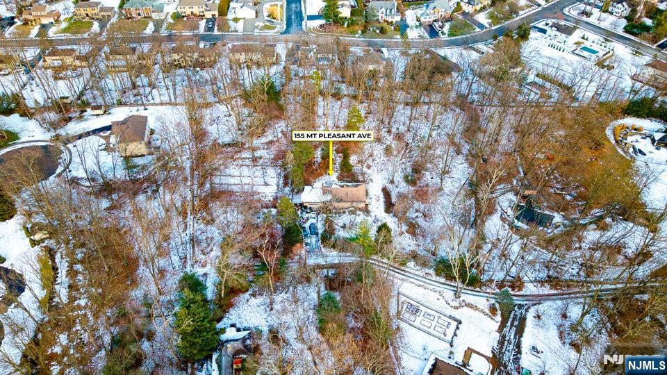 155 Mount Pleasant Avenue