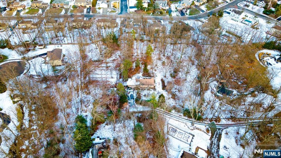 155 Mount Pleasant Avenue