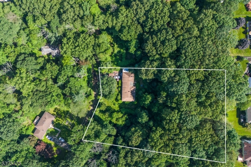 155 Mount Pleasant Ave