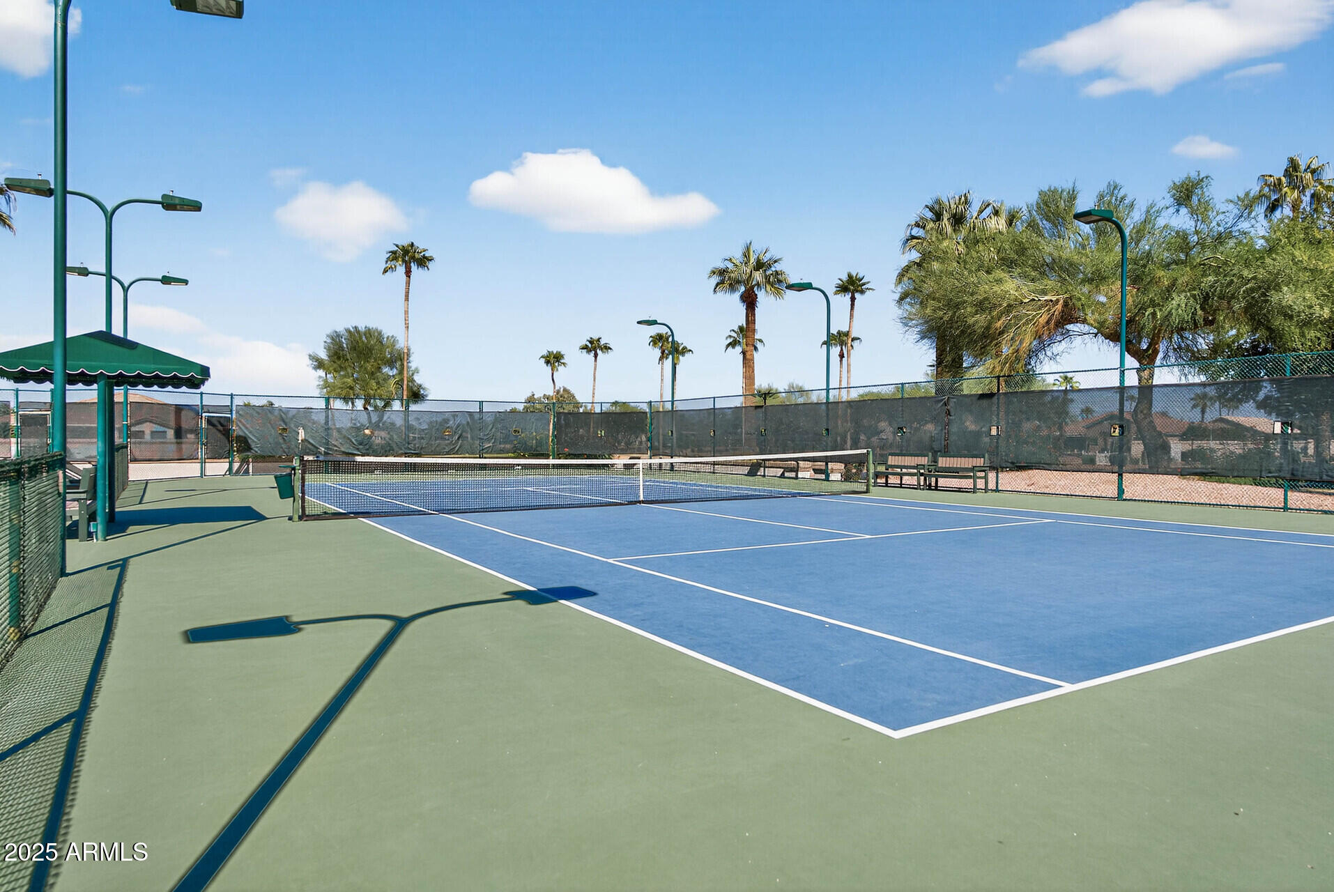 25031 S DESERT TRAIL Court