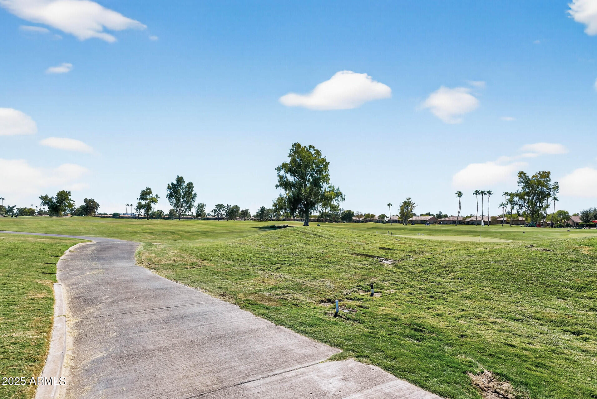 25031 S DESERT TRAIL Court