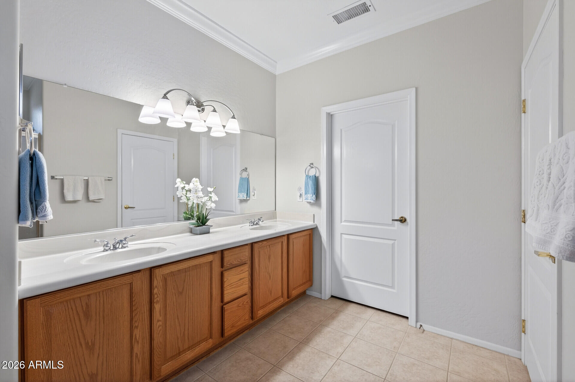 19708 N JOJOBA Court