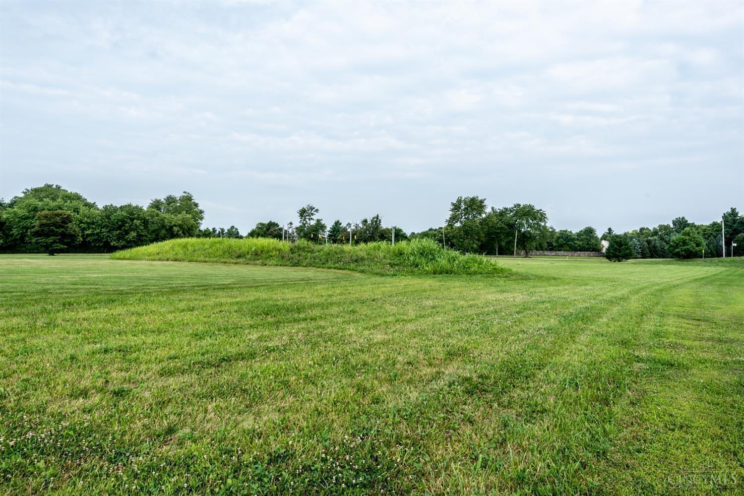 36 Buckeye Field Court