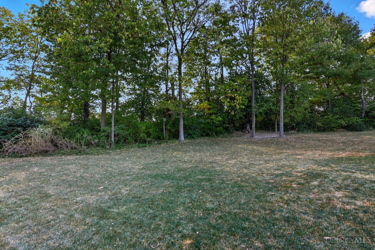 1899 Meadowsweet Drive