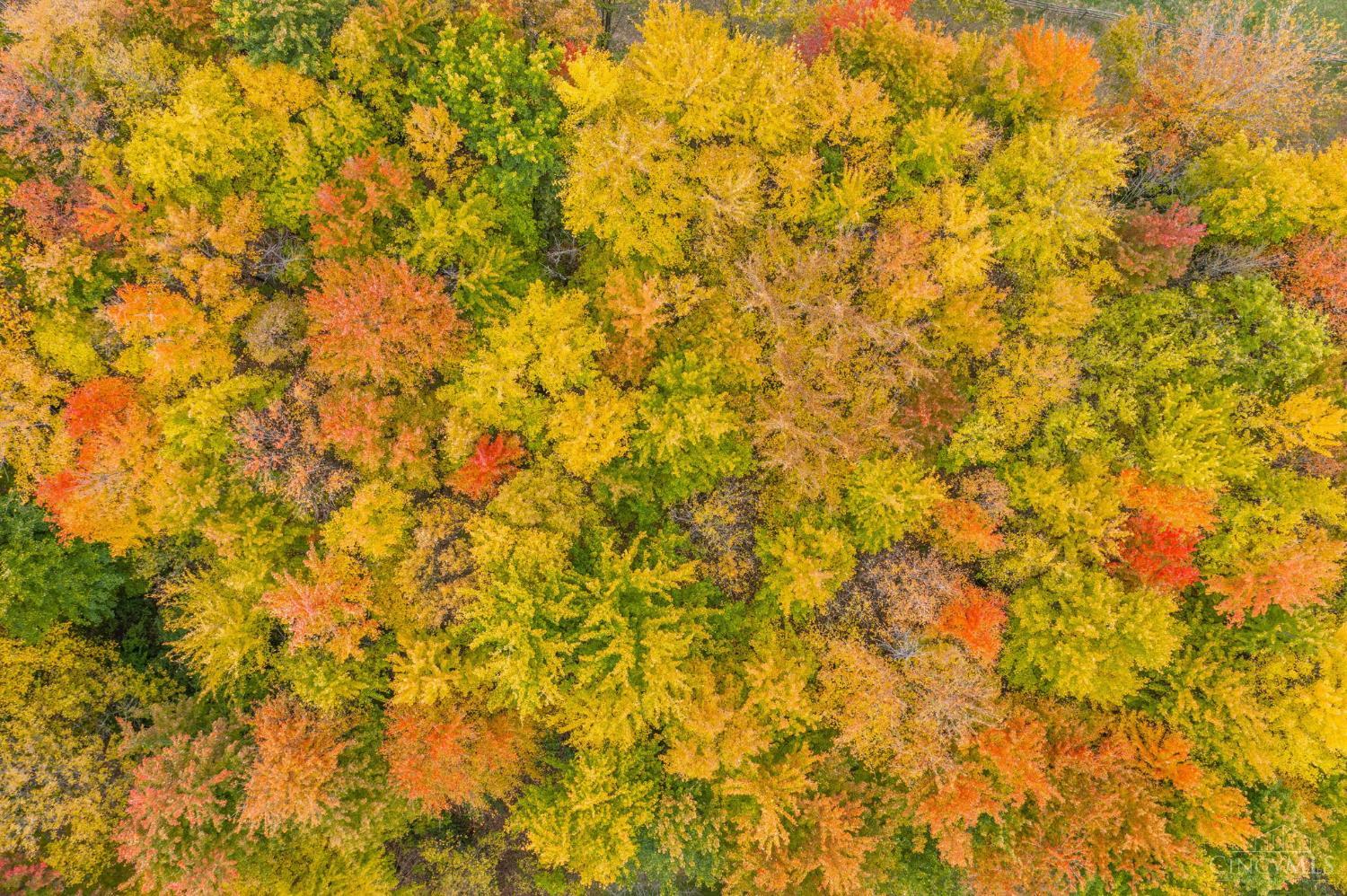 945 S Nixon Camp Road