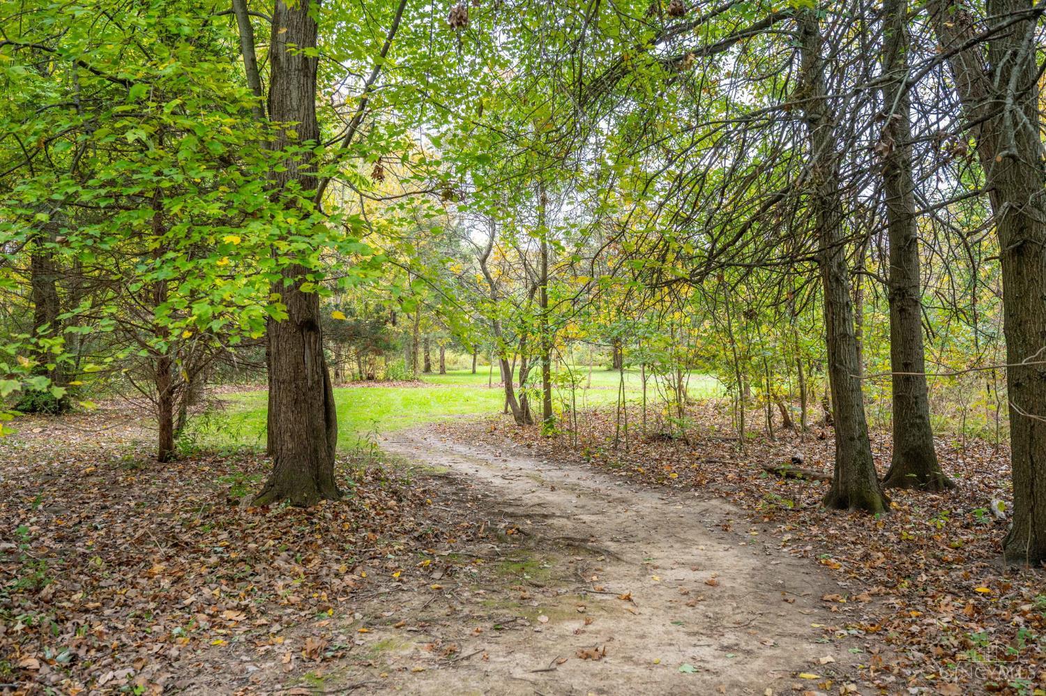 945 S Nixon Camp Road