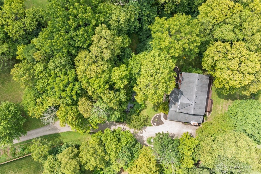 509 Patterson Court