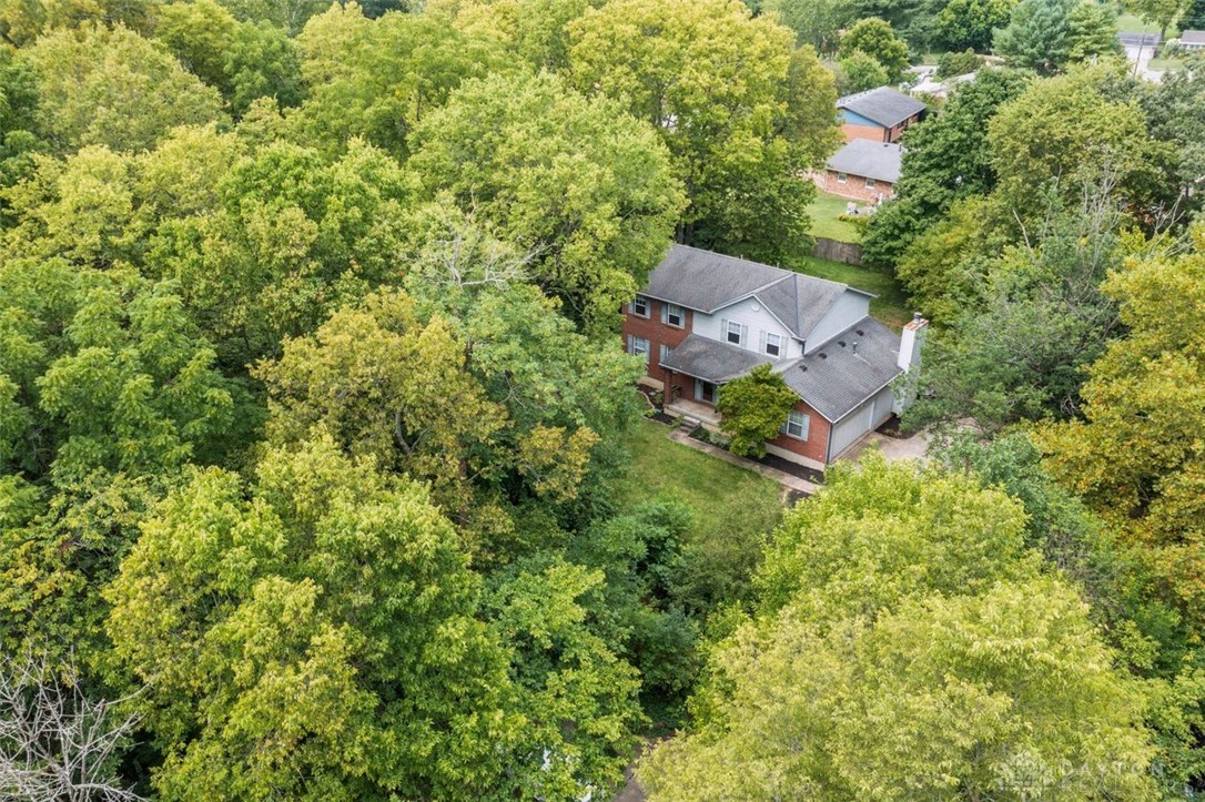 509 Patterson Court