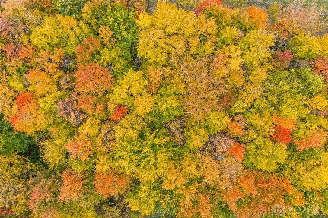 945 S Nixon Camp Road