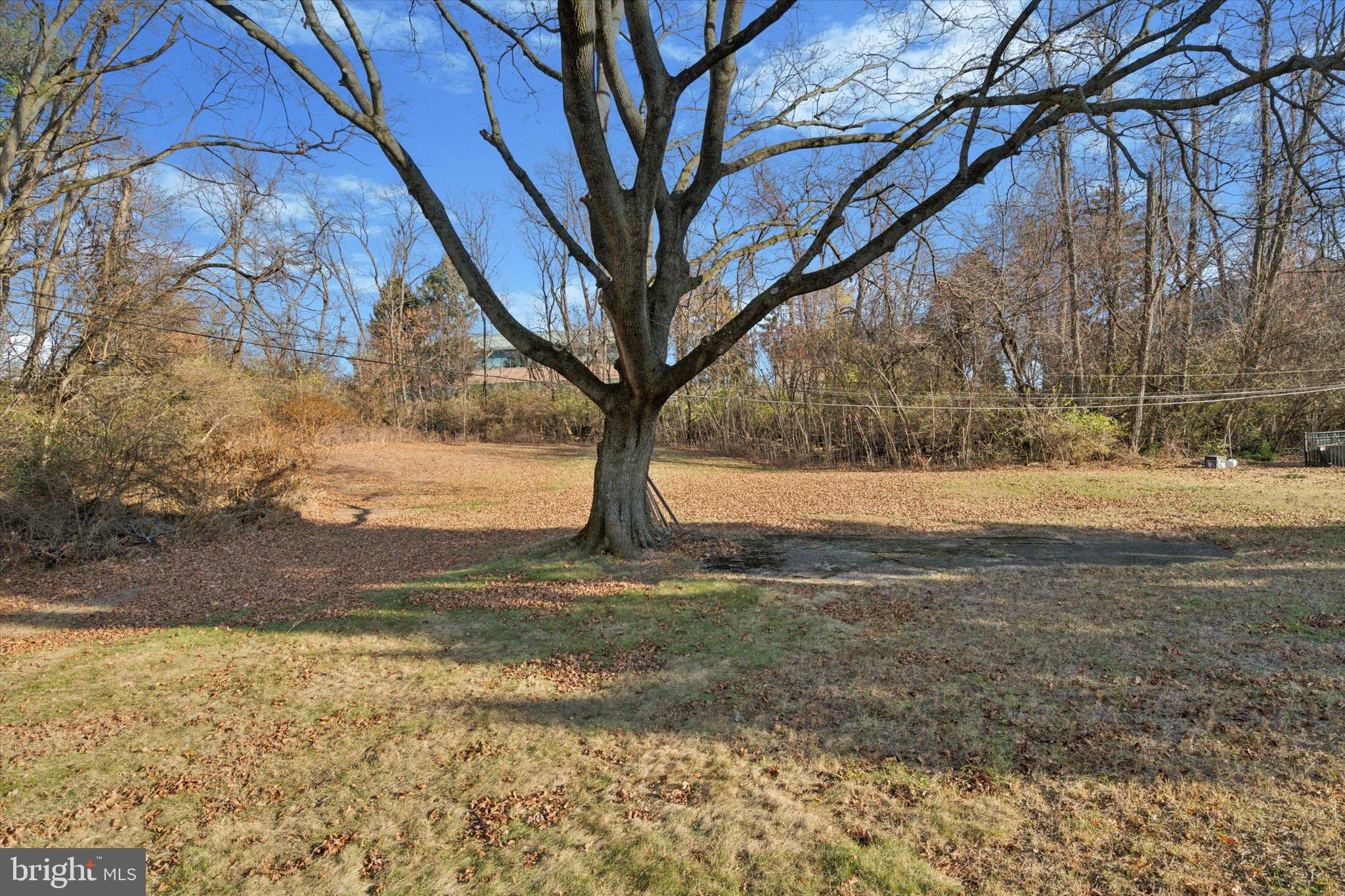17 Pearson Dr