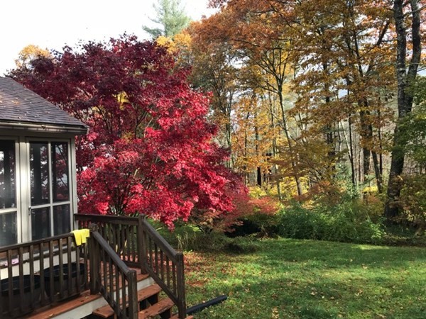 7 Greenwood Ln