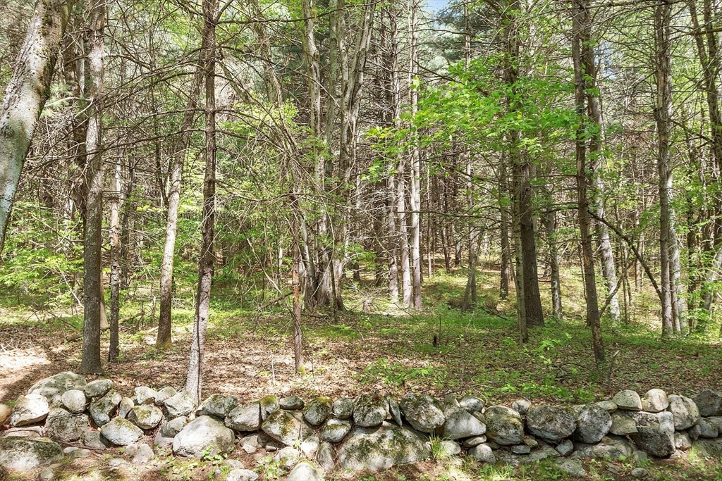 114 Hunter's Ridge Road