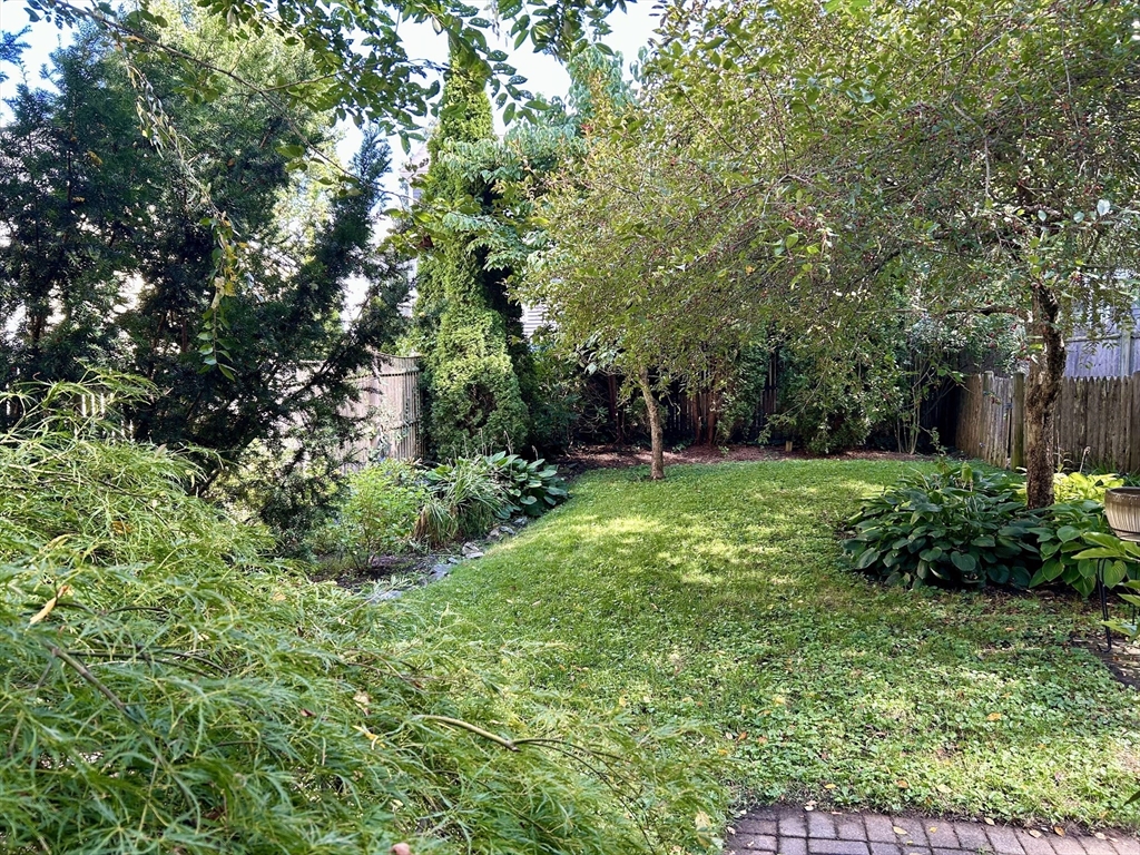 19 Davis Court # 19