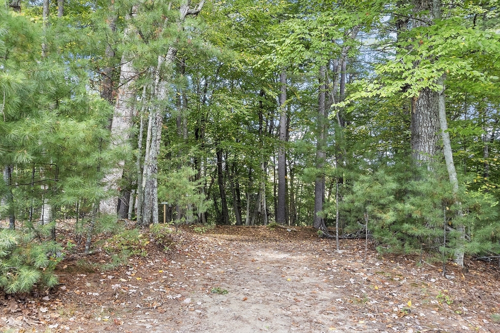 121 White Pond Way # 121