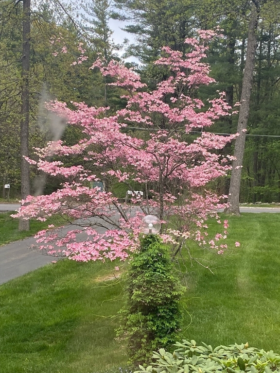 781 Strawberry Hill Rd