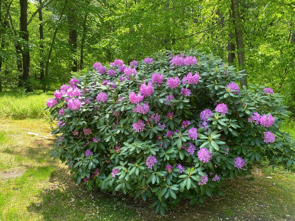 781 Strawberry Hill Rd